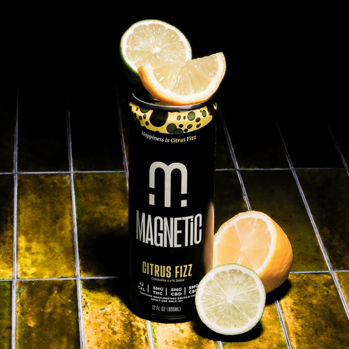 Citrus Fizz 4-Pack